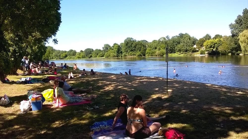 the beach